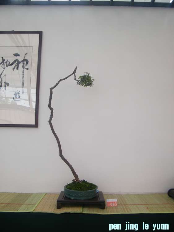 nEO_IMG_ɽչ 287.jpg