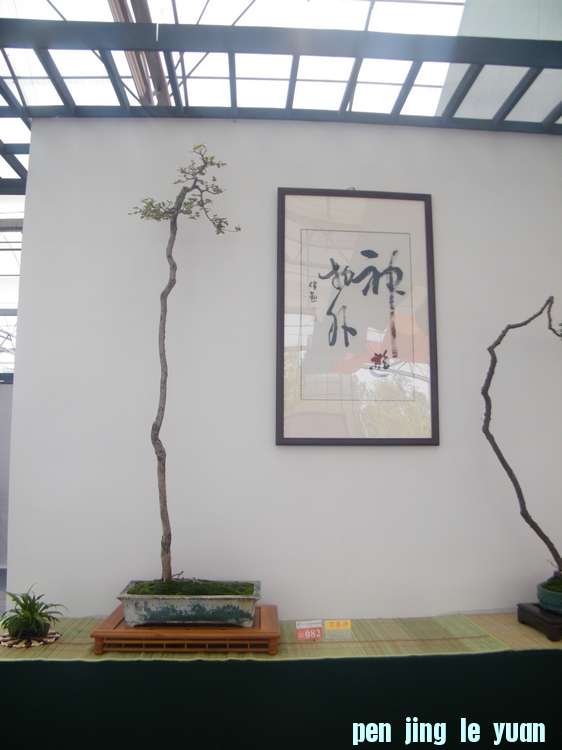 nEO_IMG_ɽչ 288.jpg