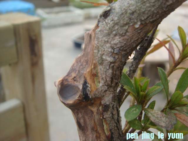 DSC05189.JPG