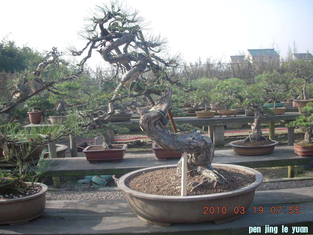 DSCN1515.JPG