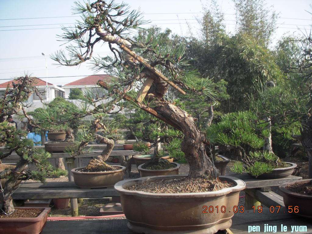 DSCN1516.JPG