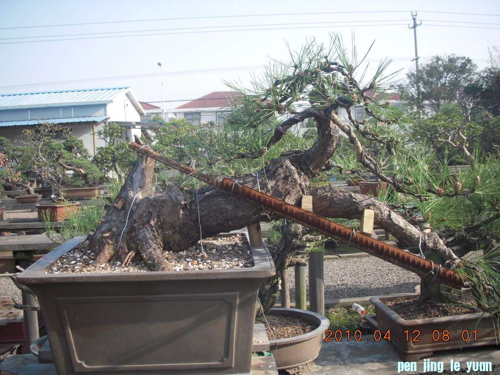 DSCN1518.JPG