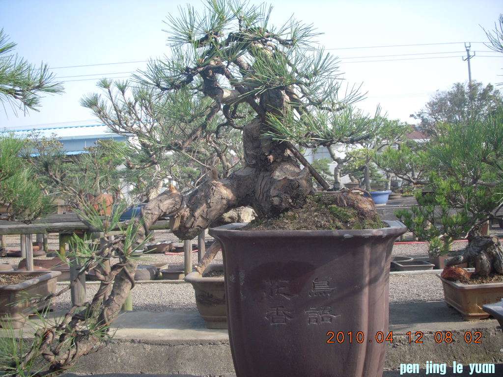 DSCN1519.JPG