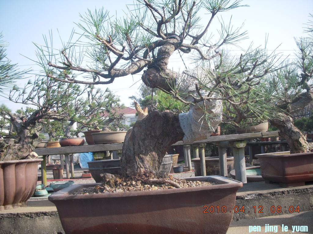 DSCN1521.JPG