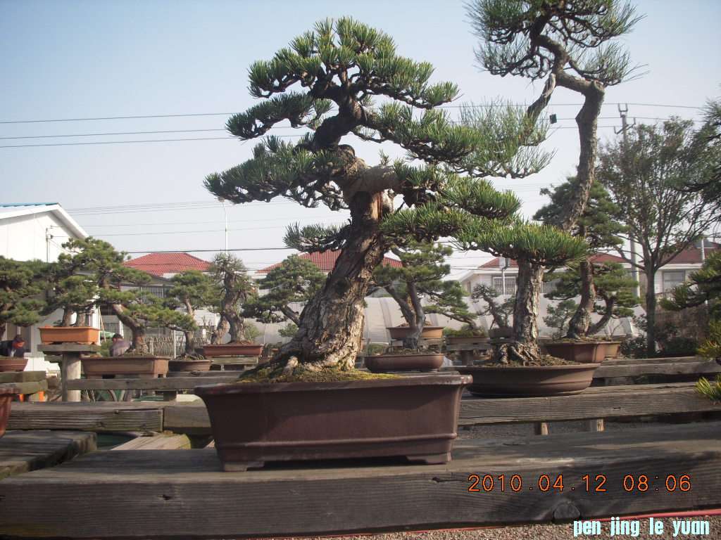 DSCN1523.JPG