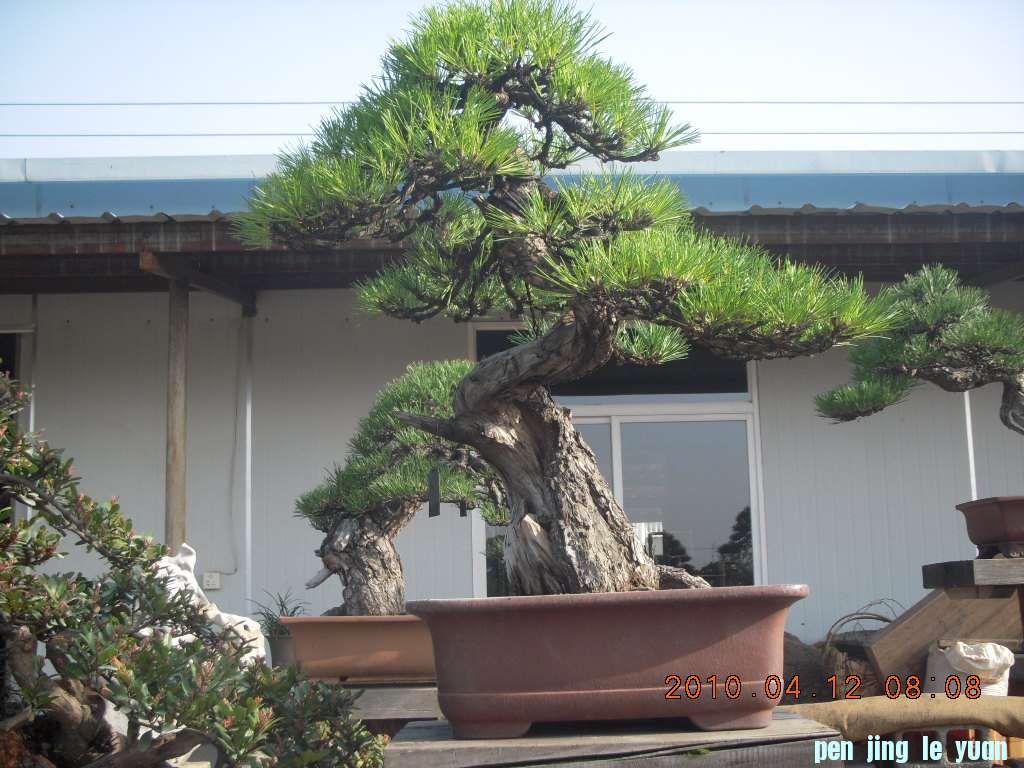 DSCN1524.JPG