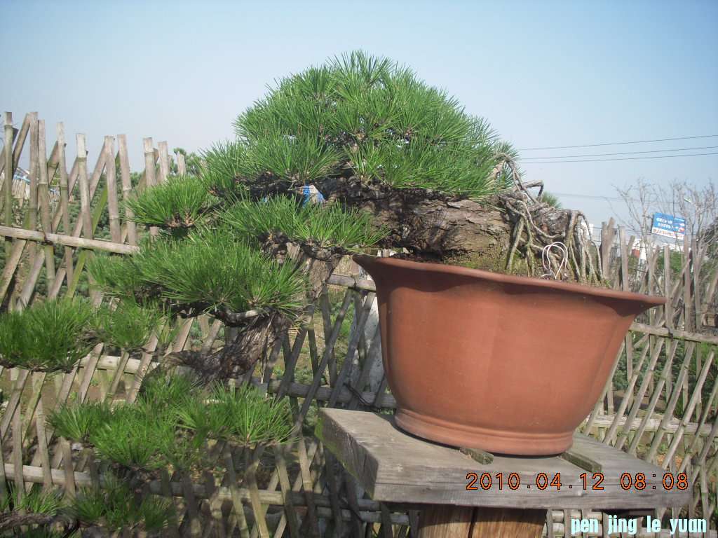 DSCN1525.JPG