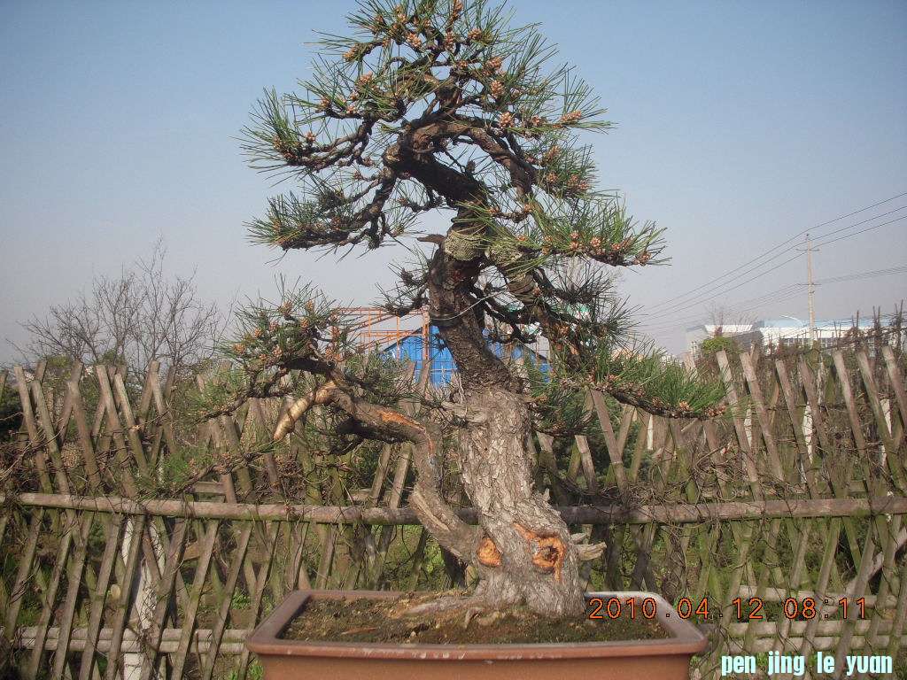 DSCN1526.JPG