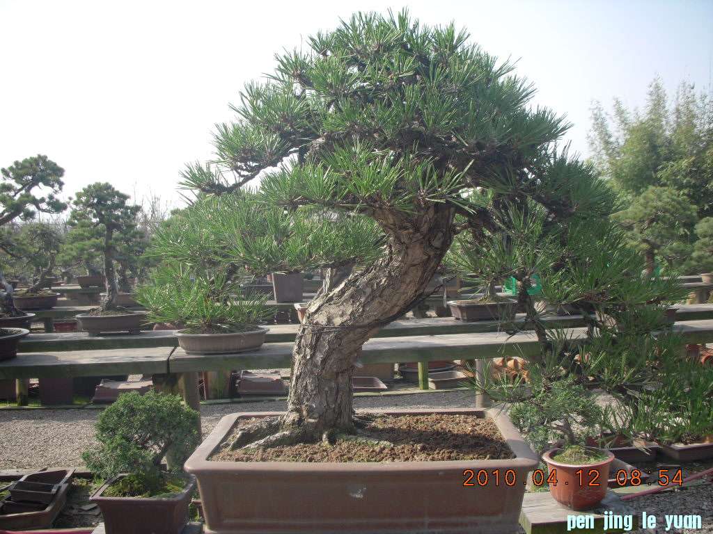 DSCN1531.JPG