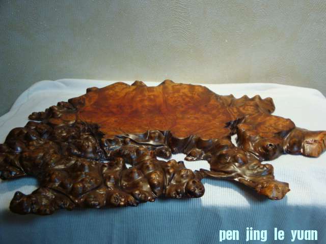 DSC00658.JPG