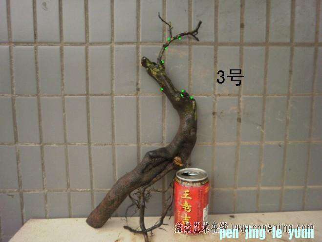 221406jhxjj9j99lzbajbl.jpg