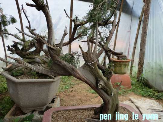 CIMG0006.JPG