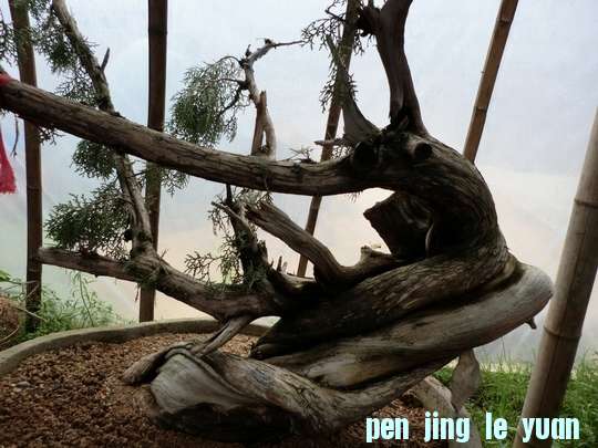 CIMG0005.JPG