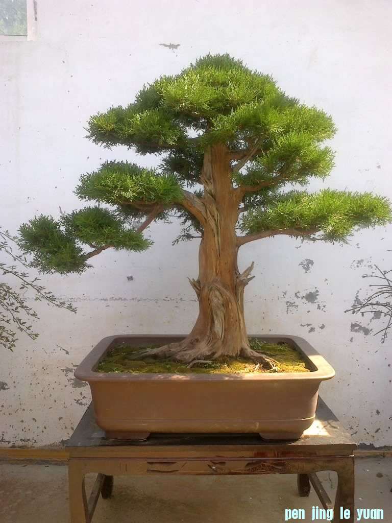 20121010091.jpg