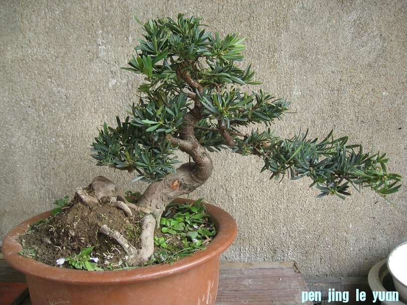 Ƭ 009.jpg