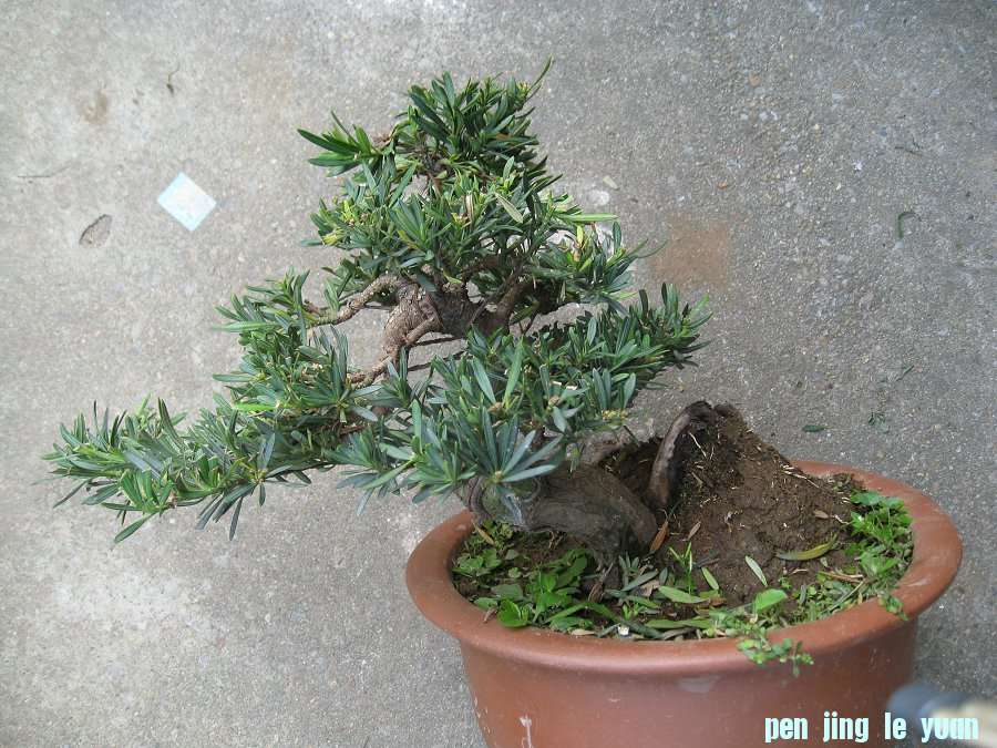 Ƭ 039.jpg