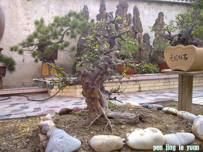 20121011161.jpg
