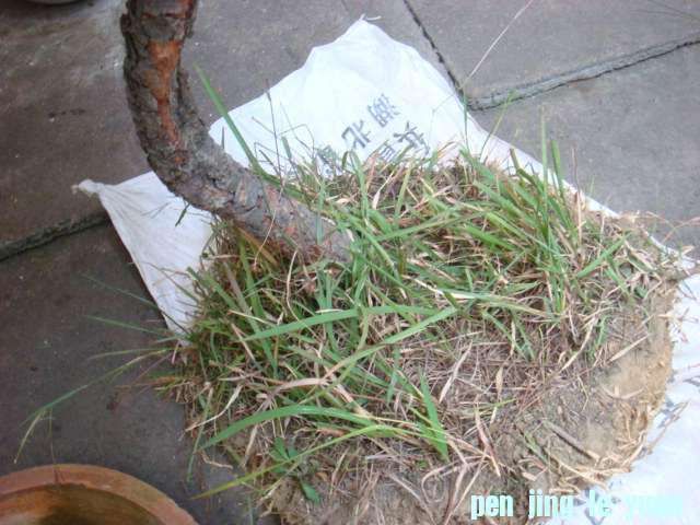 DSC02790.JPG
