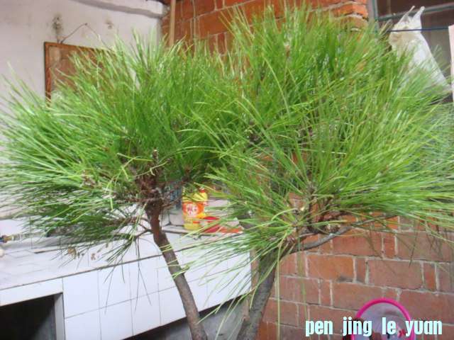DSC02798.JPG