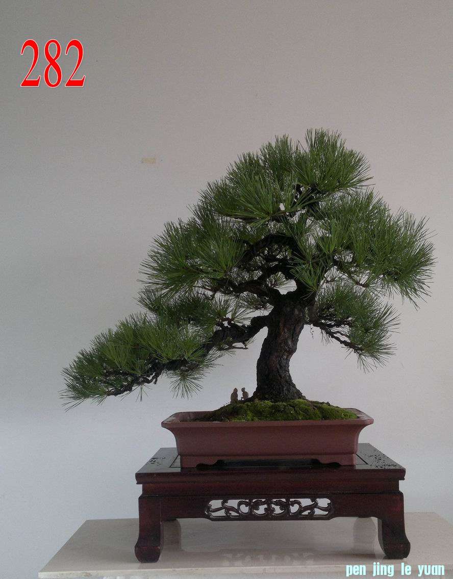 Ŵ    67x79.jpg
