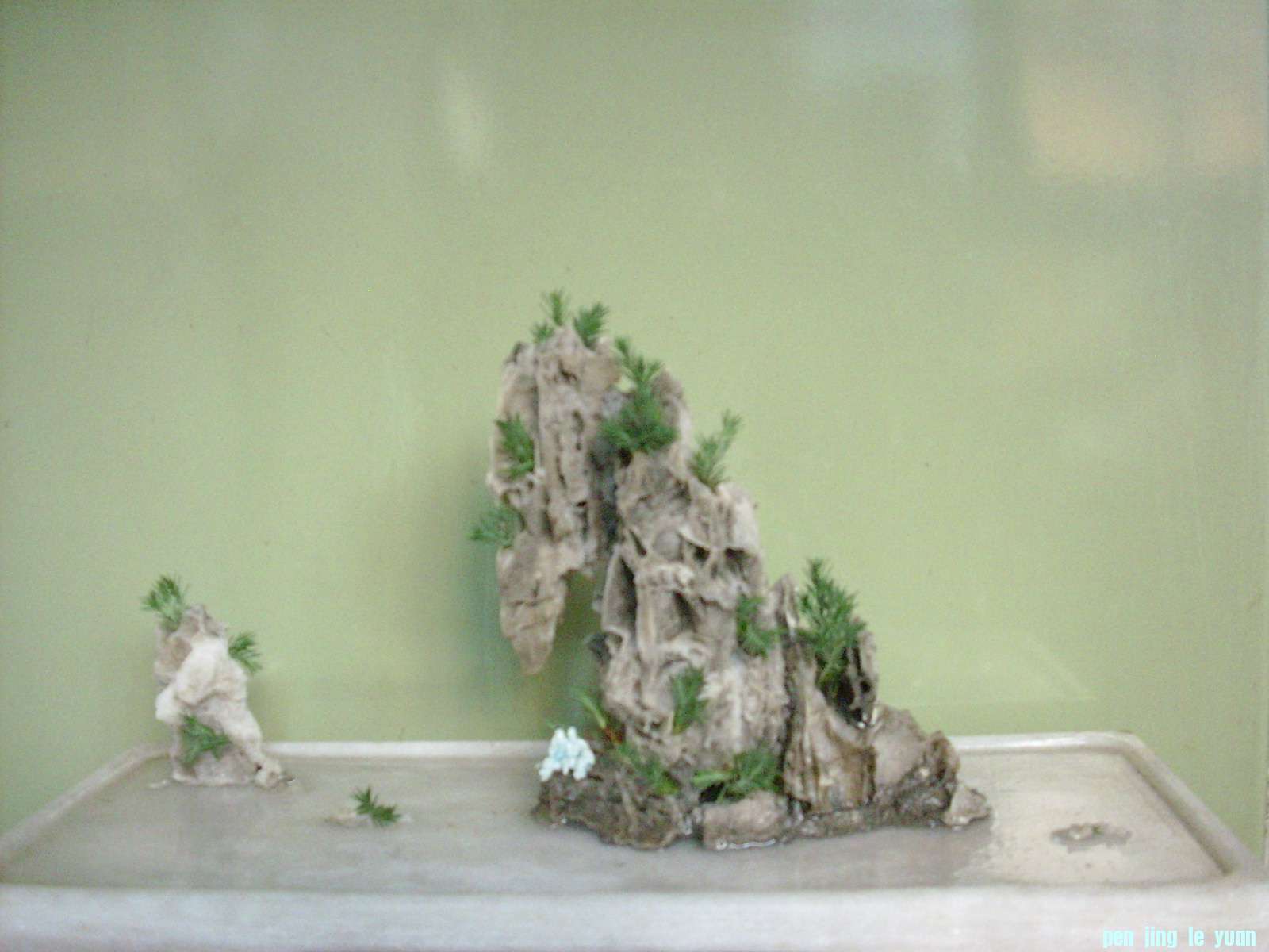 DSCI0368.JPG