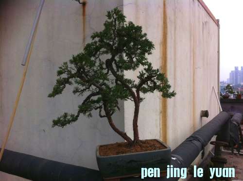 a3.jpg