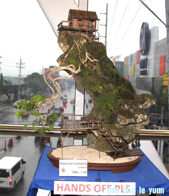 319.jpg