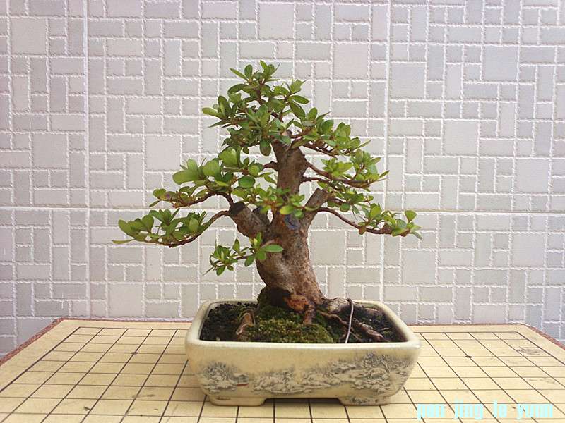 201210151907_.jpg