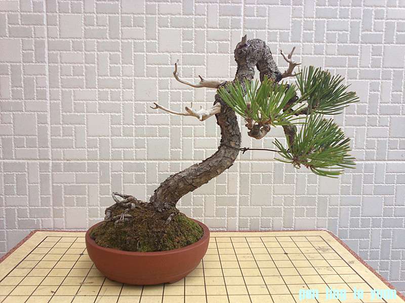 201210151905_.jpg