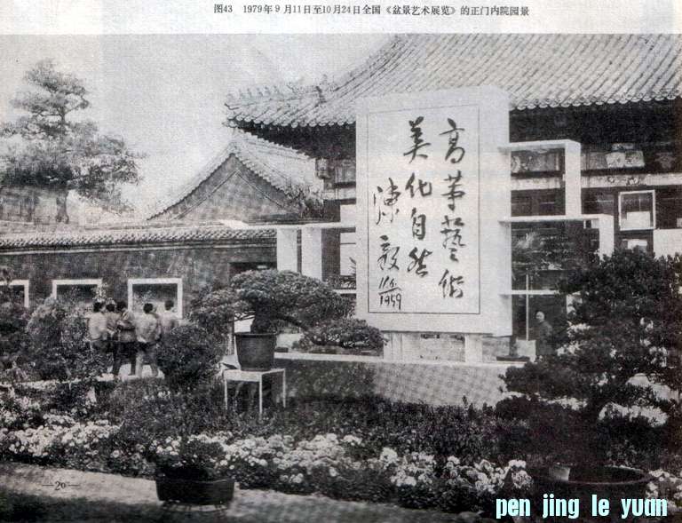 ԰辰չ1979-9.jpg