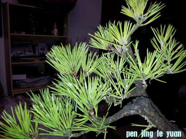20121015_205236.jpg