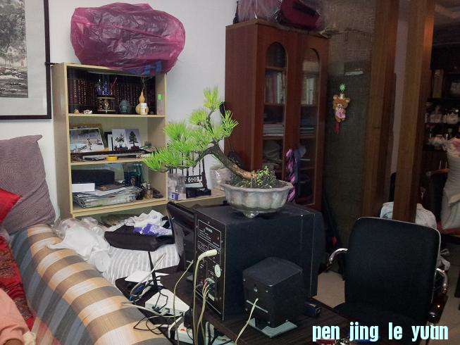20121015_205246.jpg