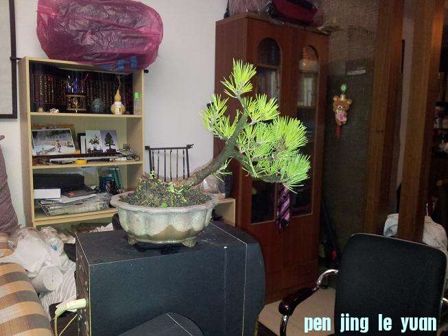 20121015_205312.jpg