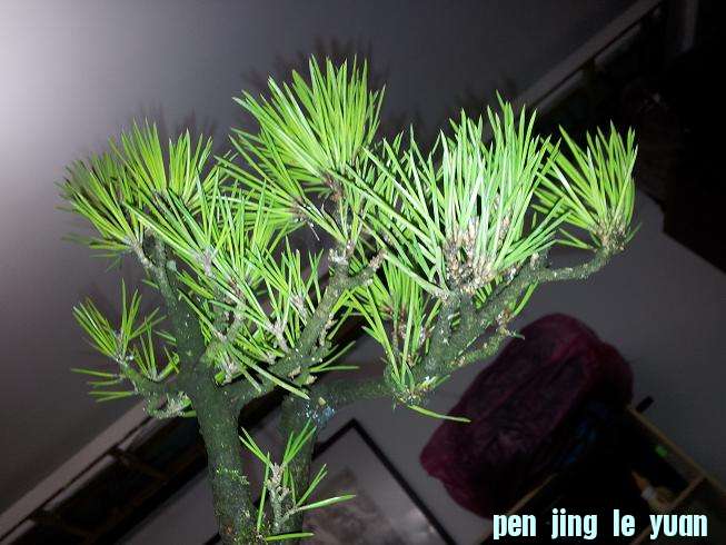 20121015_205328.jpg