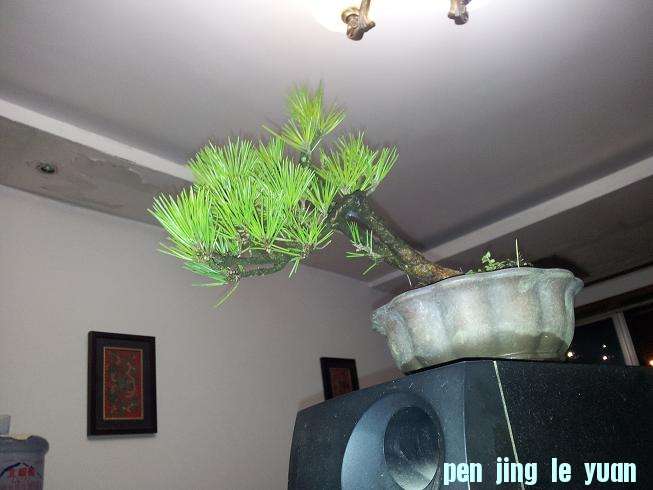 20121015_205348.jpg