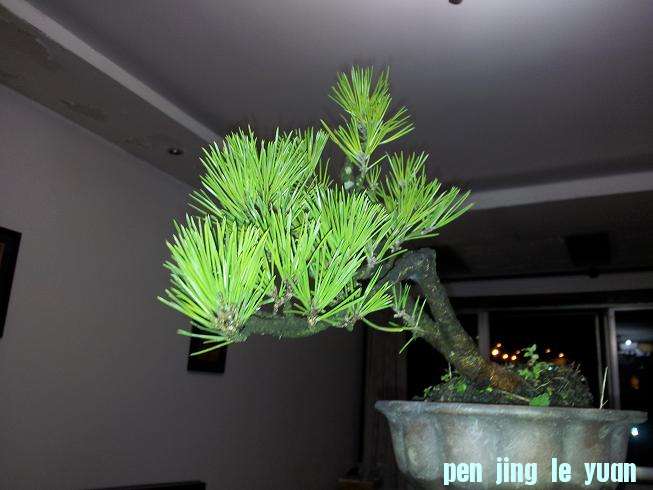 20121015_205354.jpg