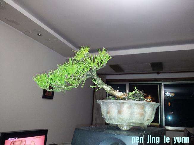 20121015_223151.jpg