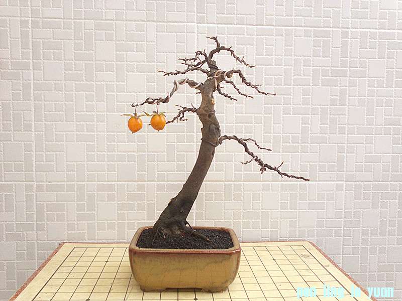 201210161916_.jpg