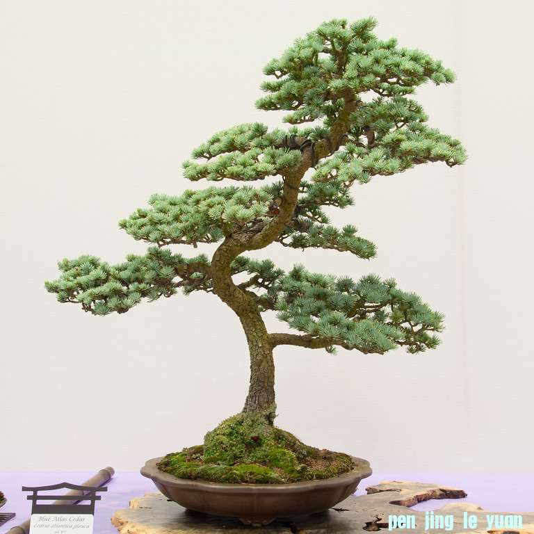 20120826-44-REBS-XL.jpg
