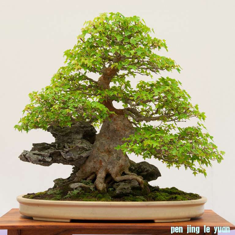 20120826-82-REBS-XL.jpg