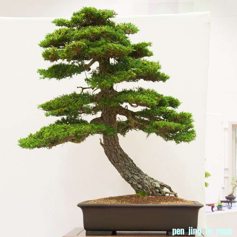 20120826-92-REBS-XL.jpg