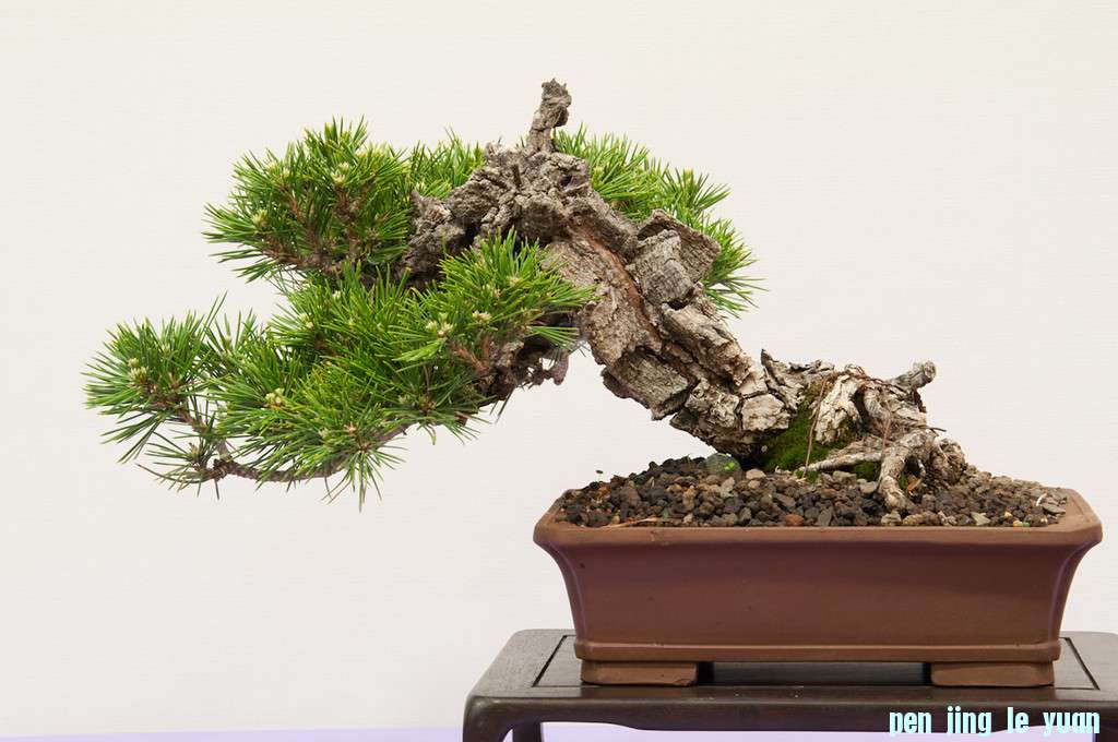 20120826-110-REBS-XL.jpg