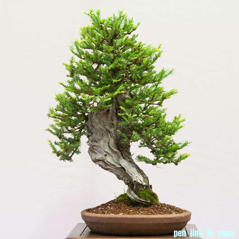 20120826-156-REBS-XL.jpg