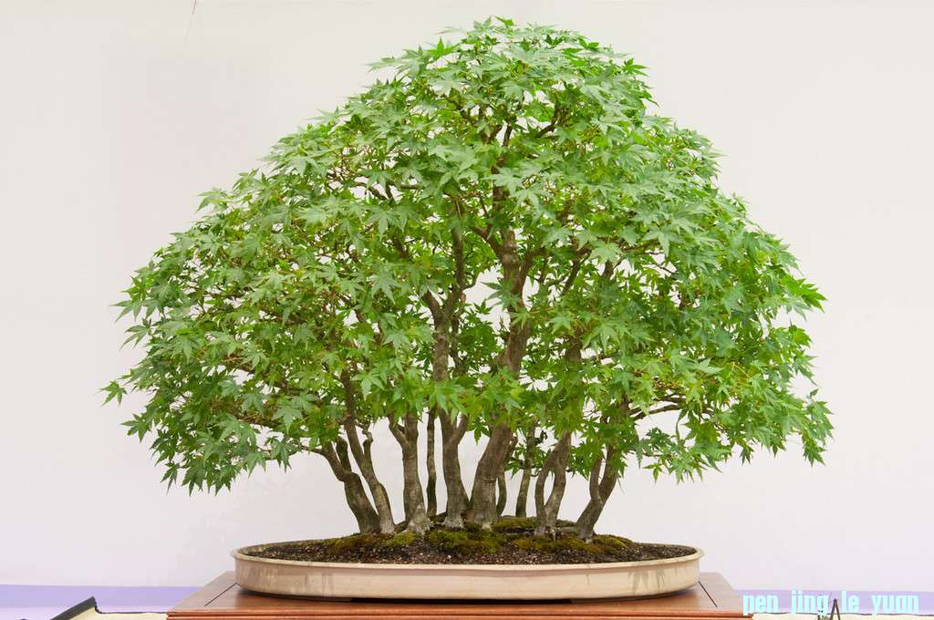 20120826-166-REBS-XL.jpg