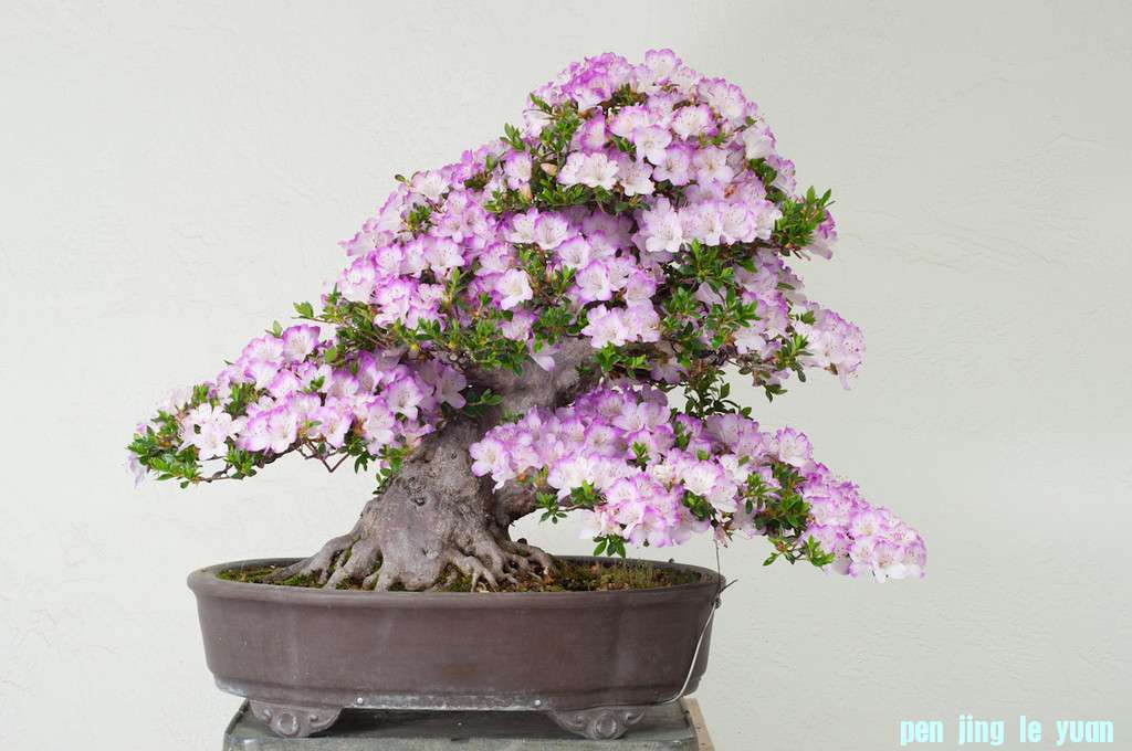 untitled-20120513-7-XL.jpg