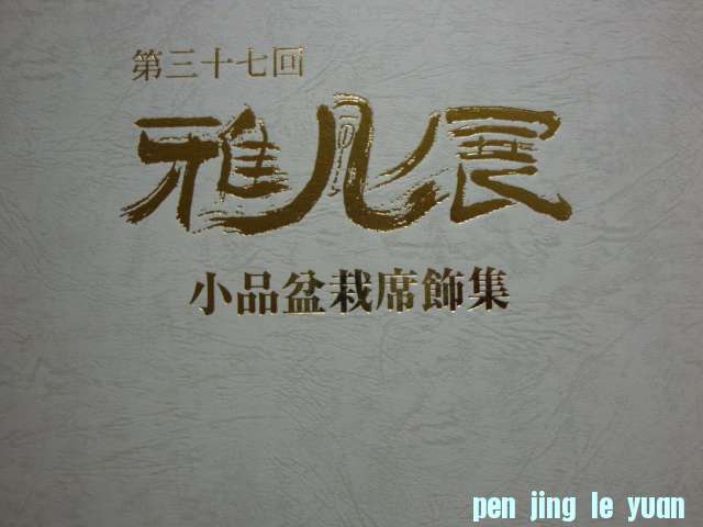 DSC09522.JPG