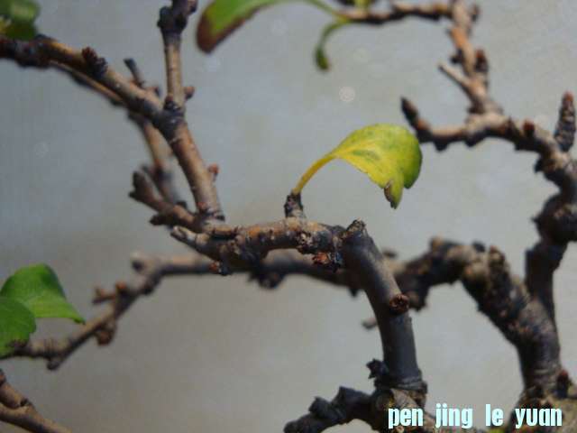 DSC00762.JPG