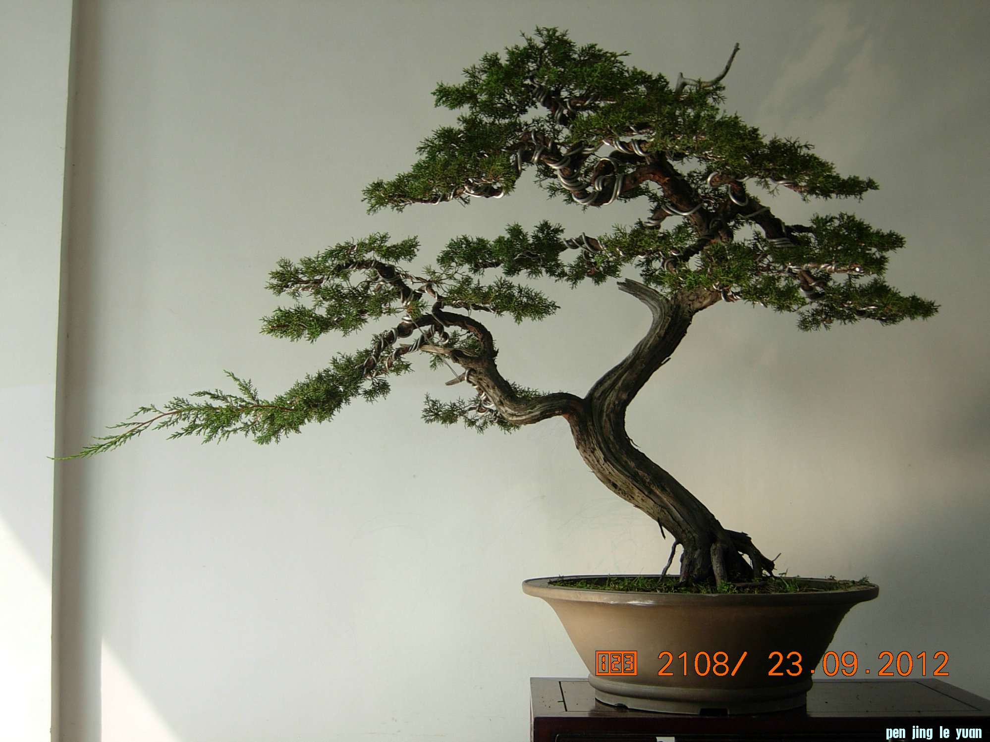 DSCN6349.JPG