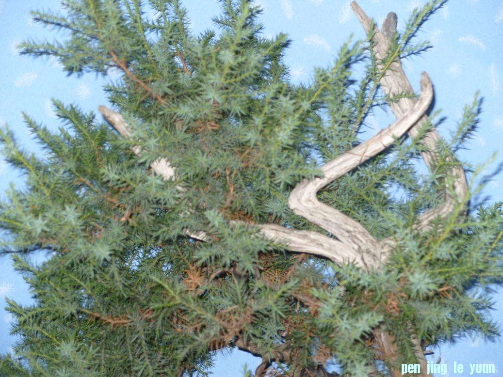 S1051338.JPG