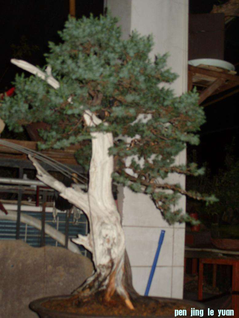 S1051349.JPG